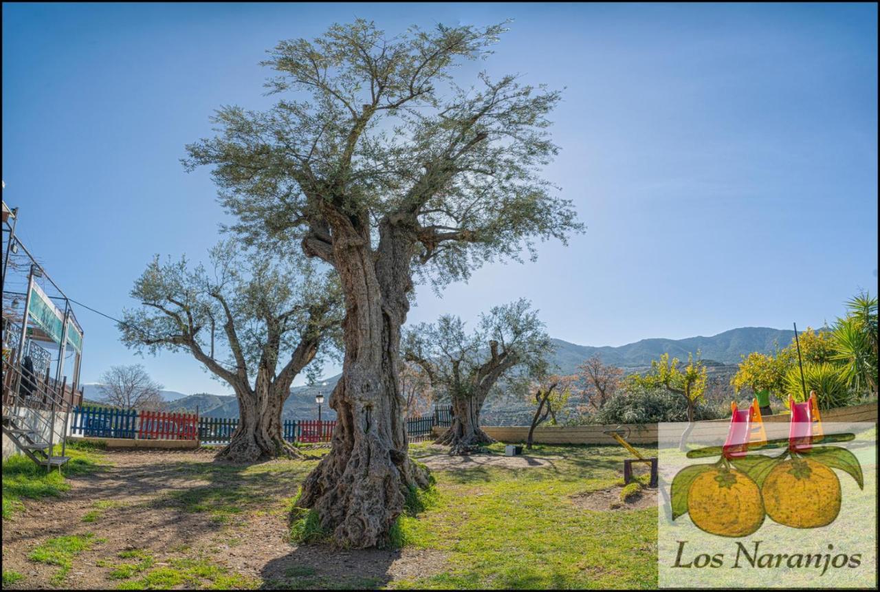 Hostal Y Apartamento Rural Los Naranjos Melegis Kültér fotó