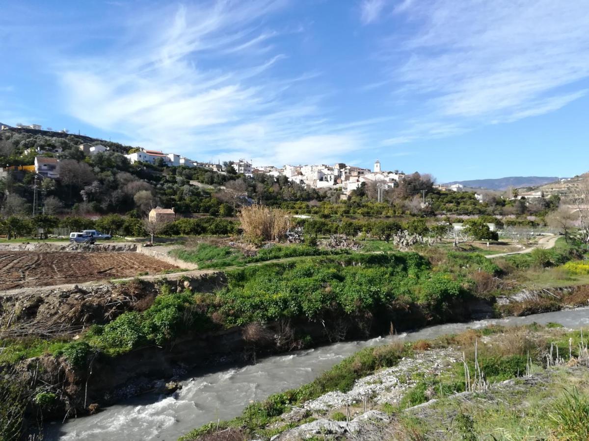 Hostal Y Apartamento Rural Los Naranjos Melegis Kültér fotó