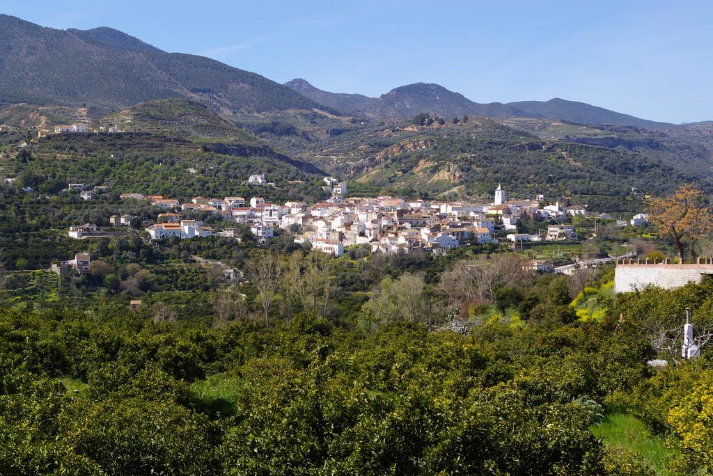 Hostal Y Apartamento Rural Los Naranjos Melegis Szoba fotó