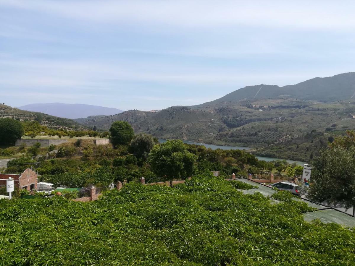 Hostal Y Apartamento Rural Los Naranjos Melegis Kültér fotó
