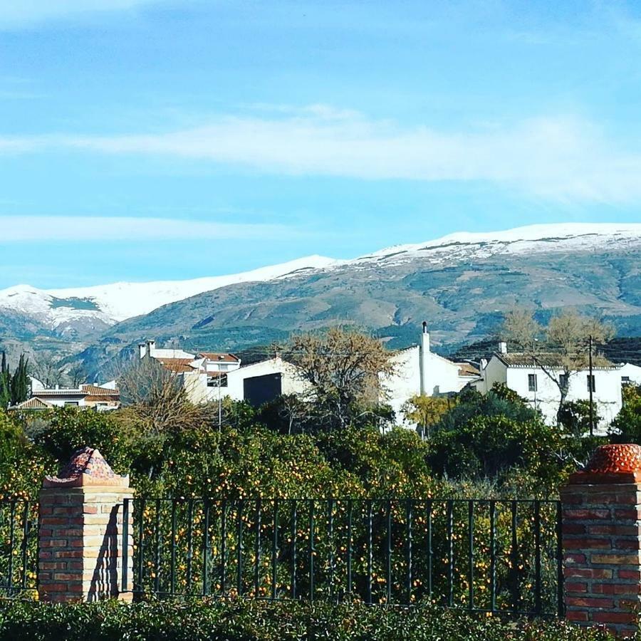 Hostal Y Apartamento Rural Los Naranjos Melegis Kültér fotó