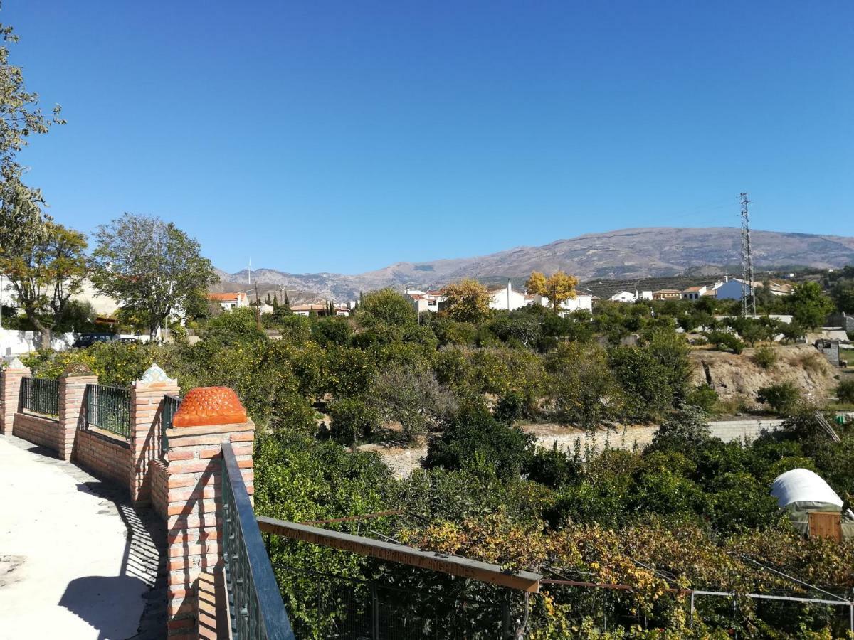 Hostal Y Apartamento Rural Los Naranjos Melegis Kültér fotó